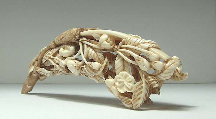 Blossoming Cherry Branch 009